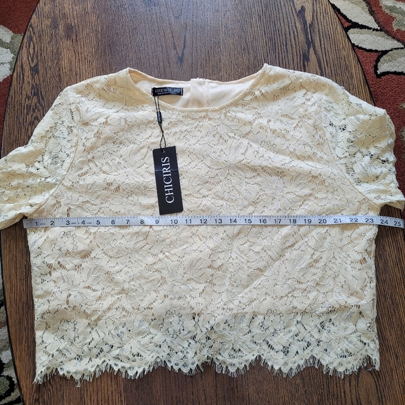 Chiciris Beige Short Sleeve Sexy Sheer Mesh Lace Crop Top Blouse Size Women 2X - Picture 9 of 11